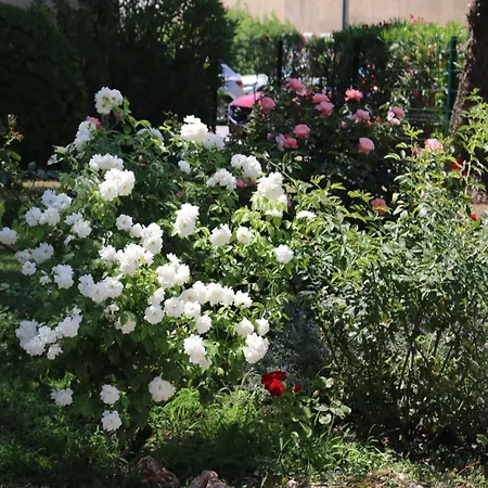 Antoine - Centre 公寓 *