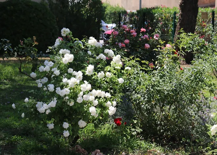 Antoine - Centre 公寓 *